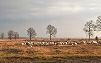 Fietsroute Wekeromse Zand en Valkse Beek